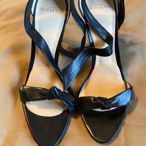 Alexandre Birman heels
